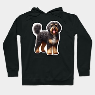 Barbet Hoodie